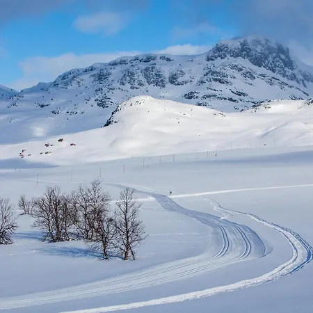 Large With Stunning Views! Beitostolen